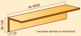50 x 50 x 3 / 2000 mm